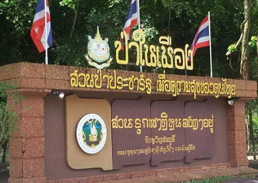 สวนรุกขชาติหนองตาด้วง