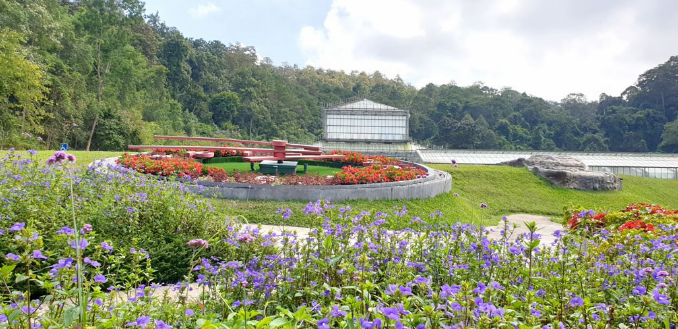 สวนพฤกษศาสตร์สมเด็จพระนางเจ้าสิริกิติ์